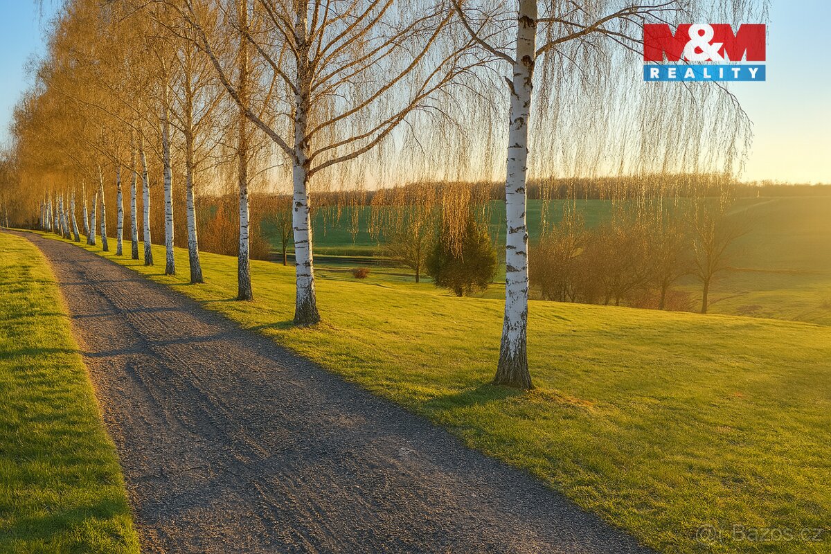 Prodej ideální 1/2 souboru pozemků ve Svijanském Újezdu - 11