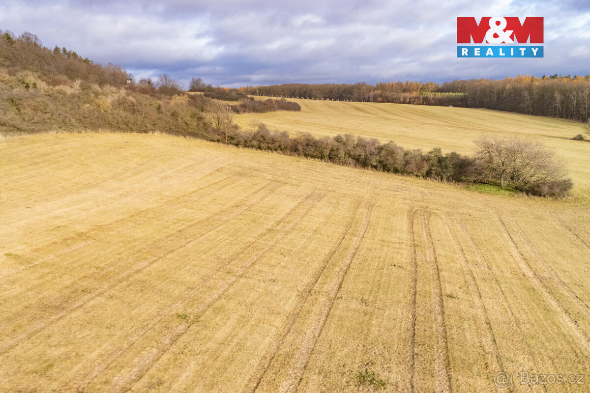 Prodej louky, 13853 m², Kublov - 11