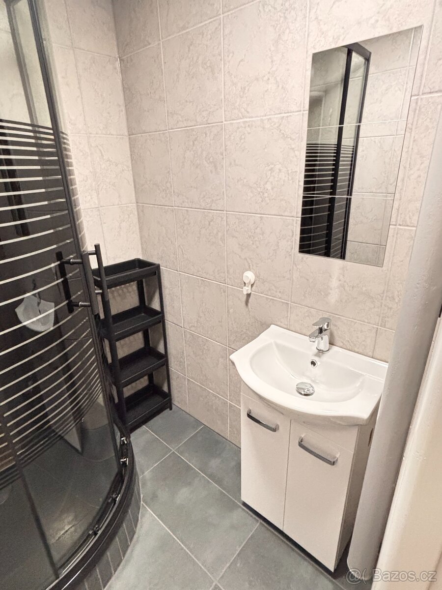 Pronájem bytu Tachov - 11