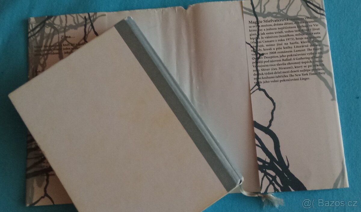 Mix fantasy a sci-fi knih a thrillery pro ženy - 11