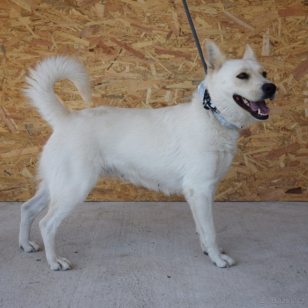 🌸 Zaira – veselá parťačka do života 🌸 - 11