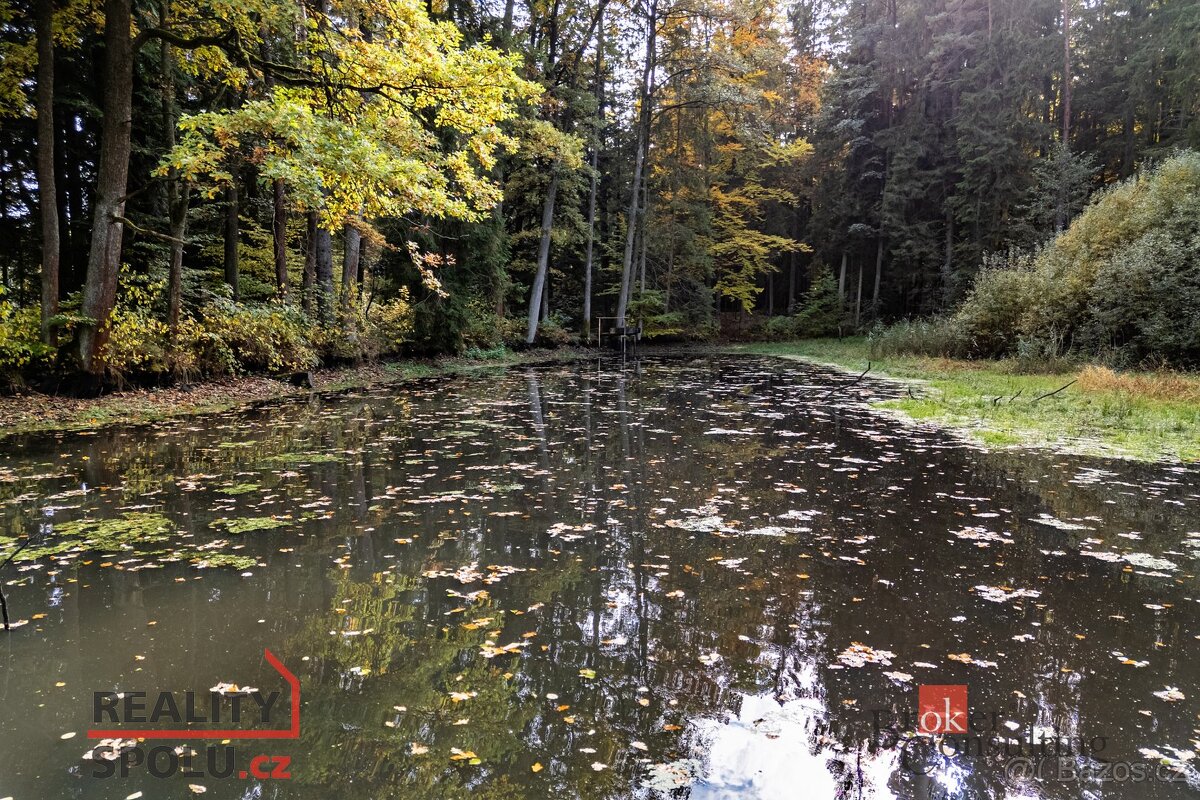 Prodej, pozemky/rybník, 64790 m2, Žíteč, Chlum u Třeboně, Ji - 11