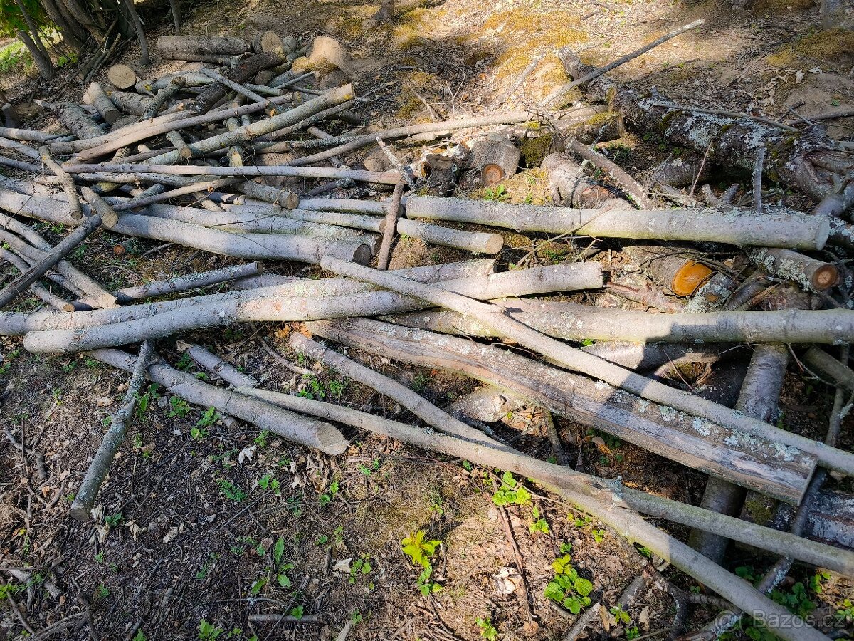 Prodám převážně Tvrdé listnaté dřevo - 11