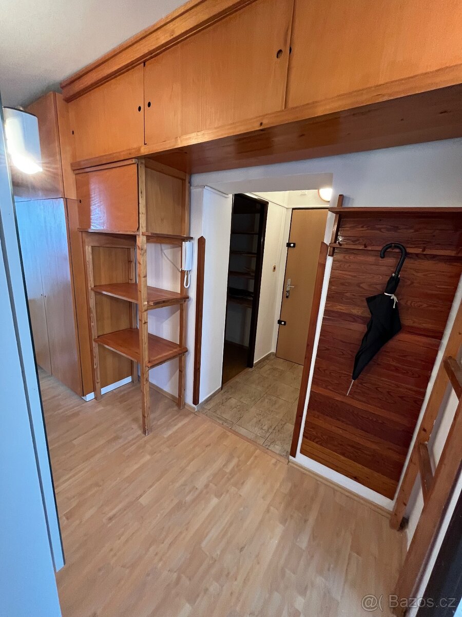 Pronájem 3+1, 80m2, 11 patro, Slezske - 11