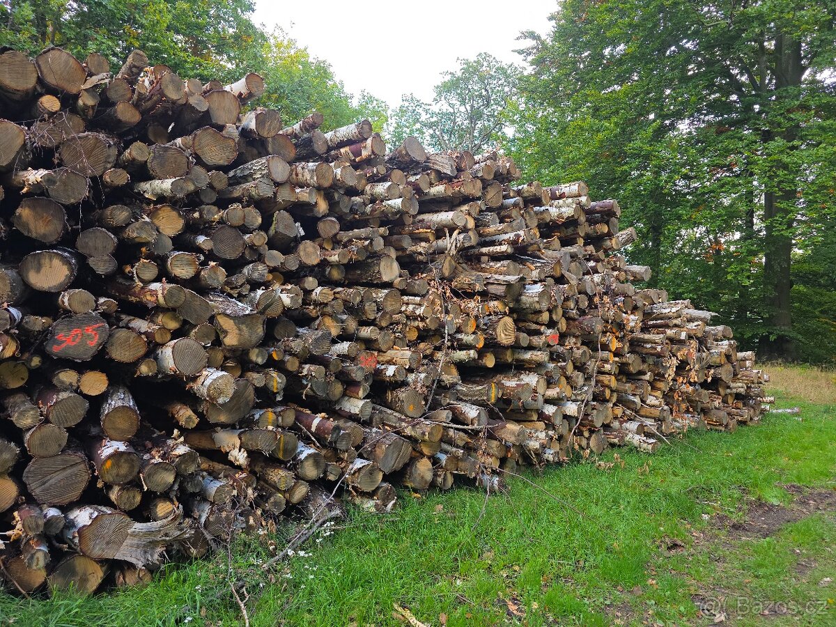 Palivové dřevo - 11