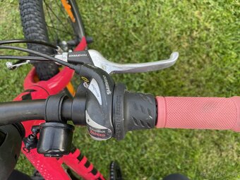 Scott Contessa 20 - 11