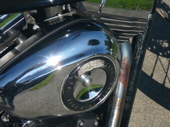 Harley-Davidson FXDWG Dyna Wide Glide 96ci 2011 - 11
