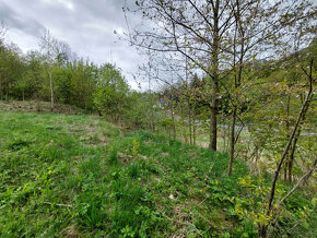 Stavební pozemek 1925m2 - Fojtovice u Heřmanova - 11