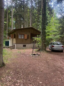 Prodej chaty – Permoník u Týna nad Vltavou (50 m od Lužnice) - 11