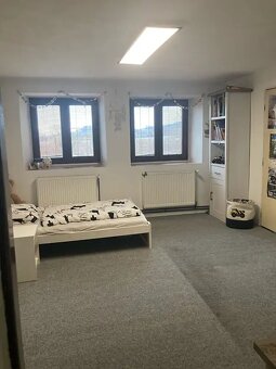 Prodej rodinného domu 100 m², pozemek 1894 m² Brloh - Rojšín - 11