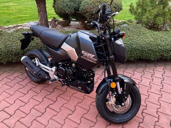 Honda Monkey/GROM - 11