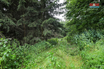 Prodej pole, 11043 m², Svárov - 11
