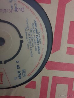 Flamingo, Marie Rottrová LP SP kolekce - 11