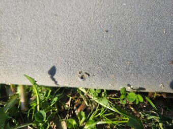 Interiér z vozu Jaguar xj x308 - 11