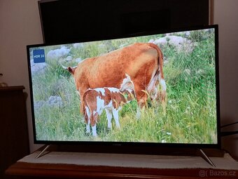 Android Smart TV Thomson 40FE5606-úhlopříčka 101cm - 11