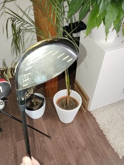 Bag s holema a drobnýma doplnkama - 11
