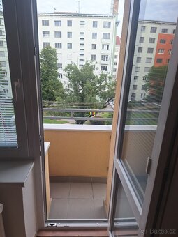 Pronájem bez RK bytu 2+1 Brno Veveří ulice Úvoz - 11