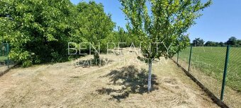 Pronájem zahrady pro rekreaci Pohořelice 1400 m2 s ovocnými  - 11