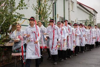 Poloprofesionální fotografování za hezkou cenu - 11