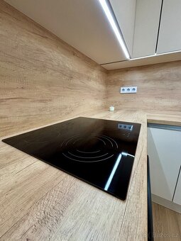 Prodej velkého, luxusního 4+1 bytu - 11