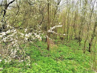 Prodej podílu 1/2 stavebního pozemku 340 m² Veselá - Žďár - 11