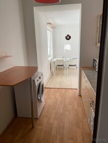 Krásný slunný byt2+1včetně stání pro auto a části pozemku). - 11