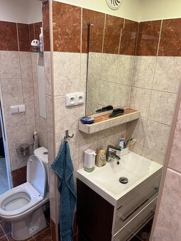 Prodej bytu 3+1, 66 m2, Stará Role Karlovy Vary - 11