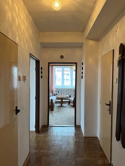 K prodeji byt před rekonstrukci 2+1 o vel. 58 m² v Chebu - 11