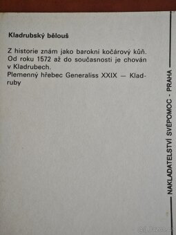 Pohlednice koní, 62ks - 11