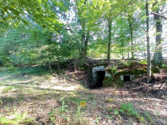 Výjimečný pozemek 8.483 m2 v oblasti Kokořínska s hotovým pr - 11