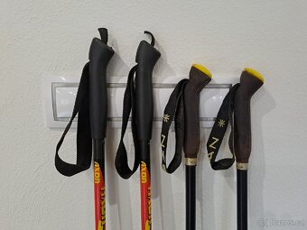 Běžecké hůlky AXON, JESAN - 11