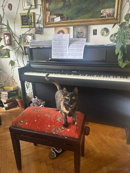 Hledáme spolubydlící, Praha 5 - 11