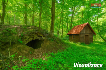 Prodej pozemku k bydlení, 5096 m², Hostouň, ul. Slatina - 11