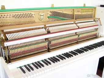 Prodám pianino Scholze - 11