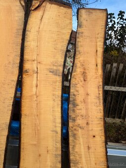 Kaštanové fošny - 11