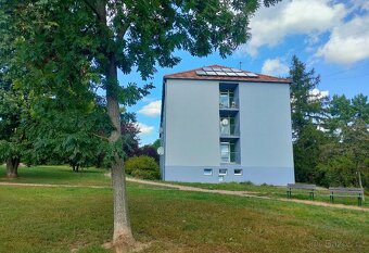 Pronájem bez RK, cihlový byt 1+1 po reko., Brno-Řečkovice - 11