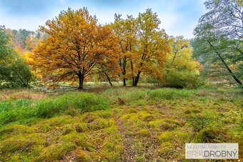 Prodej Chaty 38m2, České Lhotice - 11