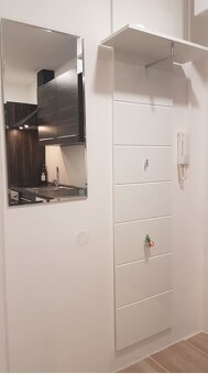Pronájem bytu 1+kk, 31 m2, lodžie, rekonstrukce - 11