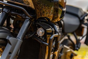 Harley Davidson PAN AMERICA 1250 SPECIAL - 11