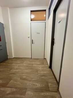 Prodej bytu 2+1, Piskovec, Kam. Šenov - 11