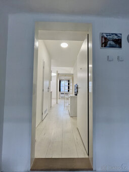 Pronájem bytu 1+kk, 28. října, Moravská Ostrava, 7900 Kč/měs - 11