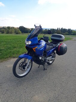 Honda Transalp - 11