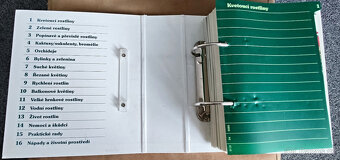 Pokojové květiny od A do Z - 11