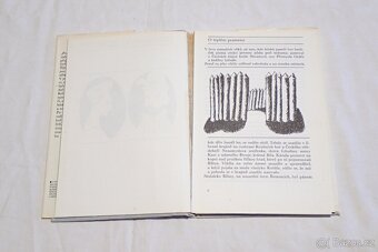 7x Kniha - Pohádky - 11