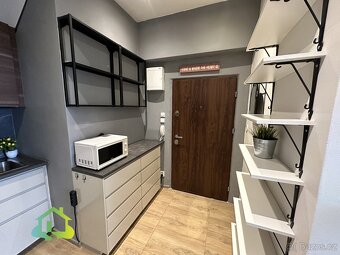 Pronájem bytu 2+kk  38 m², ulice Holandská,  Praha-Vršovice. - 11