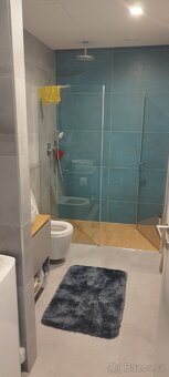 Pronajmu nový, zařízený byt 1kk 42m s terasou - Hagibor - 11