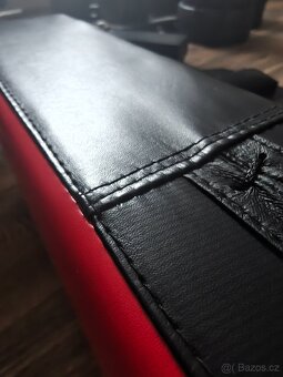 Boxing laps/kicking pads - 11