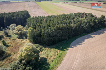 Prodej lesa, 9132 m², Panoší Újezd - 11