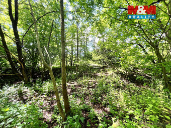 Prodej vodní plochy, 3255 m², Skalice u České Lípy - 11