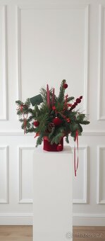 Vánoční dekorace s živého Nobilisu - 11